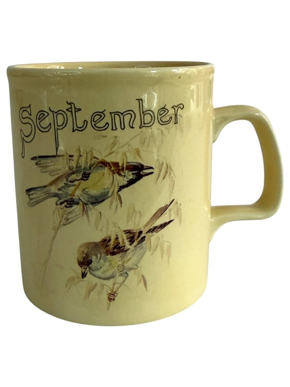 1977 The Country Diary Of An Edwardian Lady September Coffee Mug Bird England